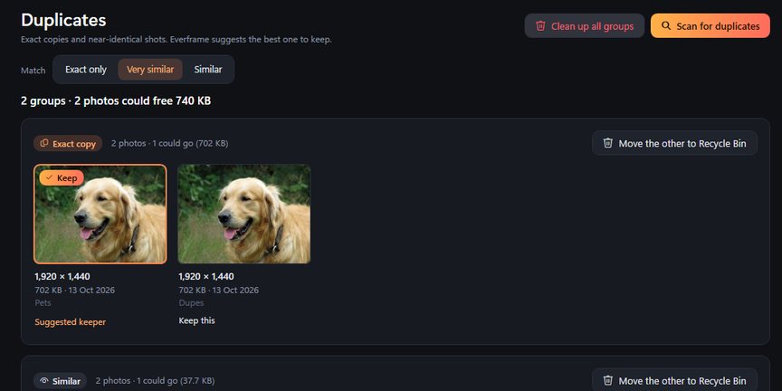 Everframe Duplicates page with an exact copy pair and the suggested keeper